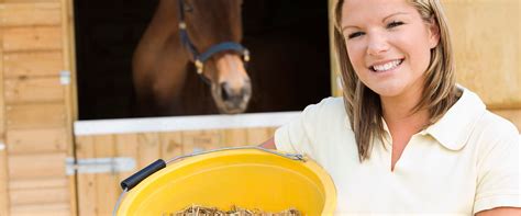 Horse Feed Supplements And Does Your Horse Need Them During Lockdown