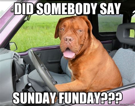 Sunday funday leads to monday meme - MemeZila.com