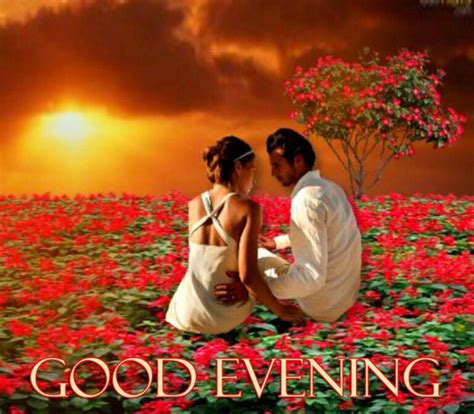 46+ Good Evening Love Message | Love Good Evening Picture | Good Evening Love and Trust Message ...