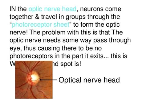 The blind spot