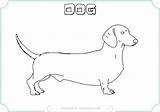 Dachshund Coloring Pages Printable At GetColoringscom  Free sketch template