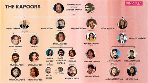 Did you know three generations of Anil Kapoor's family? All about Sonam ...