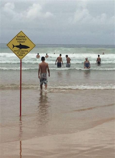 Random Pictures Of The Day - 48 Pics | Beach signs, Funny pictures ...