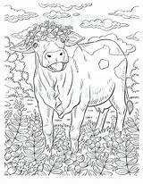 Flower Cow Coloring Page Printable Adult  Etsy sketch template