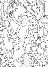 Monkey In The Forest  Coloring Pages For Kids sketch template