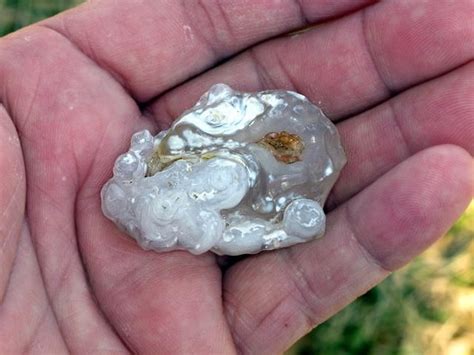 Lightning turning sand in glass : r/pics