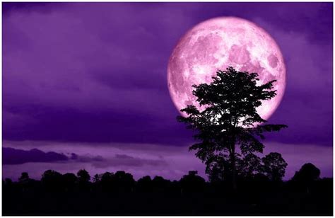 Spiritual Meaning Of Pink Full Moon - Insight state