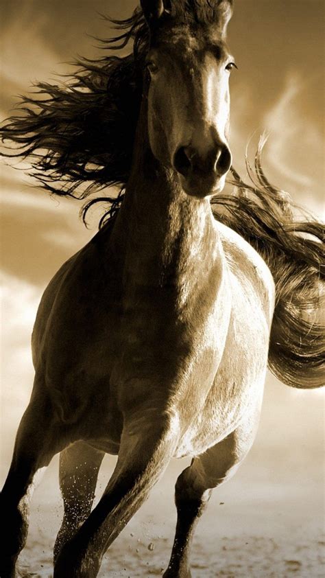 Running Horse 4K Ultra HD Mobile Wallpaper