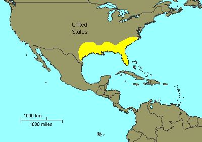 American Alligator Habitat Map