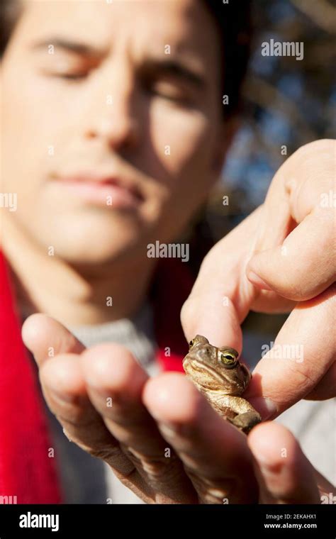 Man holding a frog Stock Photo - Alamy