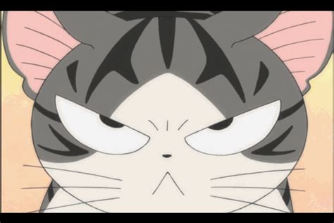 Angry Cat Gif Cartoon - Fotomuslik