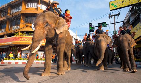 Elephant treks in Thailand and the Surin Elephant Round-Up | Insight Guides Blog