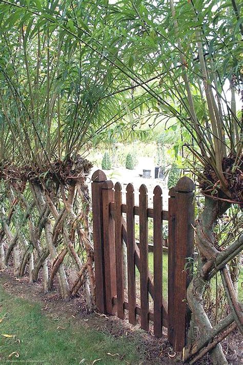 39 Unique Garden Fence Decoration Ideas Diy Fence, Fence Decor, Backyard Fences, Garden Fencing ...