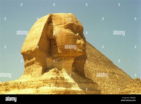 EGYPT, CAIRO, VIEW OF THE SPHINX Stock Photo - Alamy