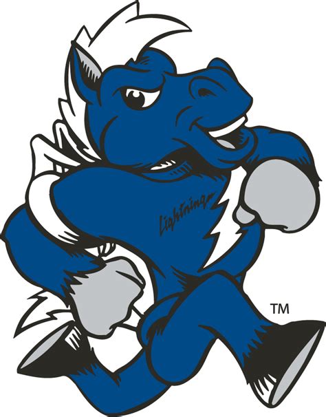 Middle Tennessee Blue Raiders Mascot Logo - NCAA Division I (i-m) (NCAA ...