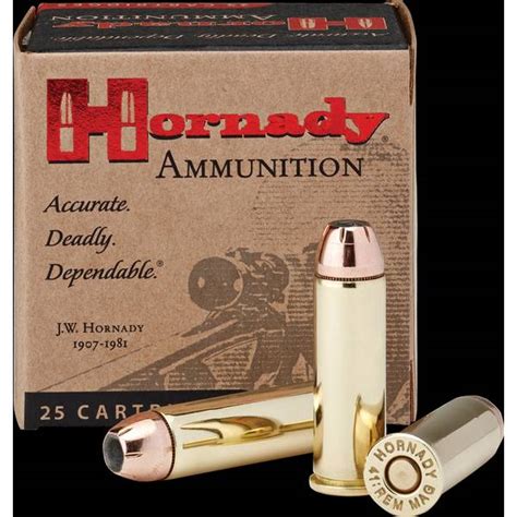 Hornady Custom Pistol 44 Mag 240 GR XTP Ammo - 9085 | Blain's Farm & Fleet