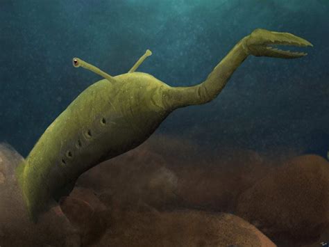 The mysterious ‘Tully Monster’ fossil just got more mysterious