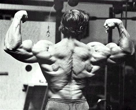 Top 10 Arnold Schwarzenegger Quotes | Unstoppable Strength