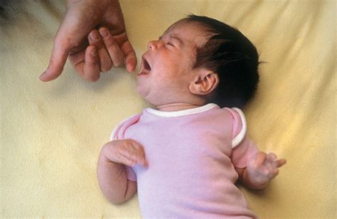 Rooting Reflex In Babies: Why It Is So Important And What They Mean