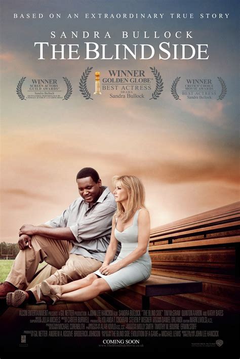 ScreenVue - Blind Side, The