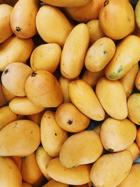 Bunch Of Mangoes · Free Stock Photo