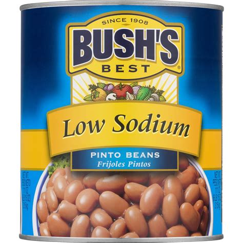 BUSH'S Low Sodium Pinto Beans, Plant Based Protein, Canned Beans, 111 ...