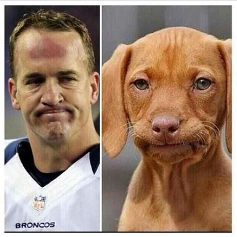 Peyton Manning Forehead Meme