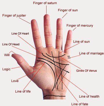 #Palmistry #marriage lines female...... Cocern #PanditKaranSharma ...