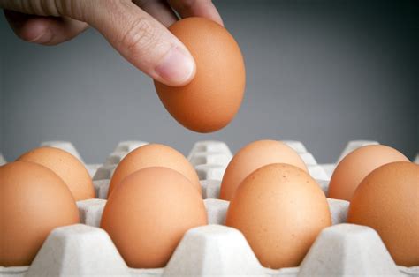 Not All Organic Eggs Are Created Equal--Best & Worst Egg Brands