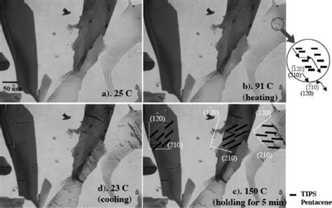 Microscopic optical images of TIPS pentacene crystals when exposed to a ...