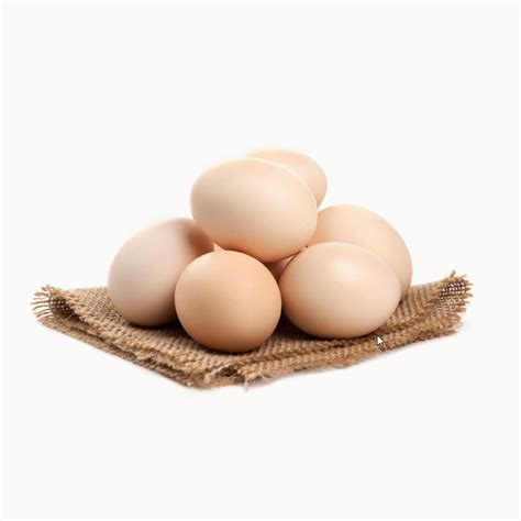 Duck eggs – Agraria