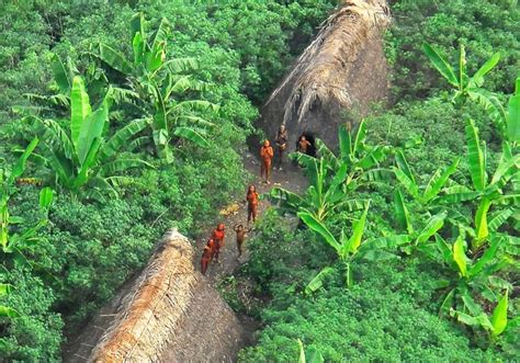 Gold miners claim they butchered uncontacted Amazon tribe members in Brazil