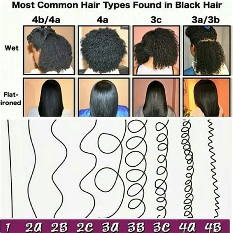 Most common hair types in black hair | Black hair types, Natural hair types, Hair type chart