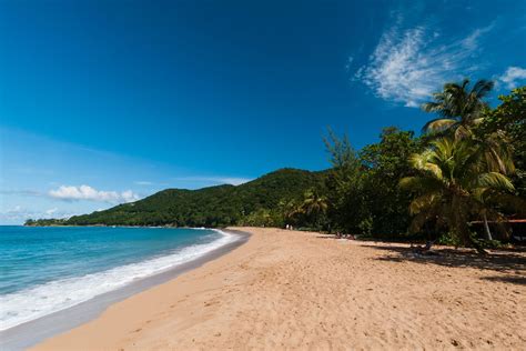 Perfect Plages: The Best Beaches of Guadeloupe