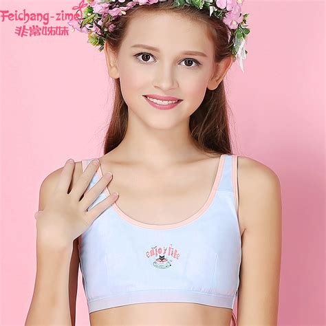 New Arrival Feichangzimei Teenage Girl Underwear Cotton Gray/Blue AA ...