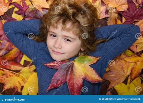 Autumn Child with Autumn Leaves on Fall Nature Background. Portrait of Kid with Fall Leaves ...