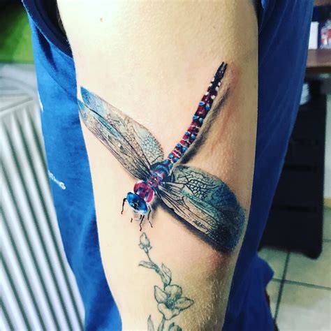 65 Stunning Dragonfly Tattoo Designs - Join the Trend
