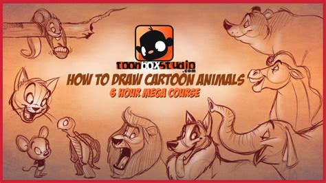 How to Draw Cartoon Animals | ToonBoxStudio.com