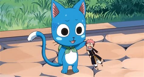 25 Iconic Cats In Anime: The Ultimate Feline List – FandomSpot