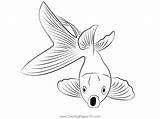 Goldfish Open Mouth Coloring Page For Kids  Free Goldfishes Printable sketch template
