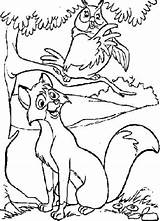 Fox And The Hound Coloring Page  Home sketch template