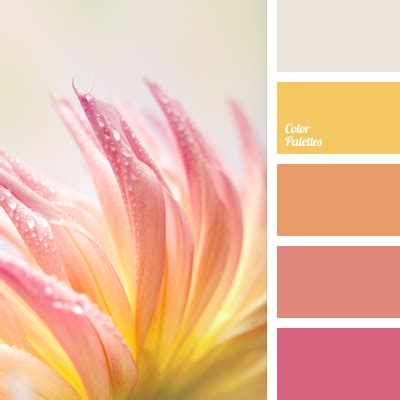 delicate color shades of beige | Color Palette Ideas