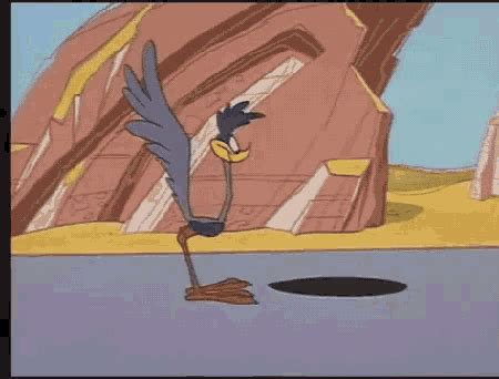 "Acme Portable Hole Roadrunner GIF" – "Acme Portable Hole Roadrunner ...