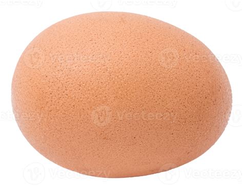 Chicken egg isolated 12716599 PNG
