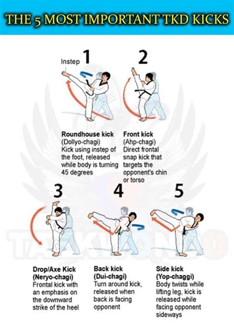 12f1e62d3a1b778257f4cf7b3549f06f.jpg (564×784) | Taekwondo techniken ...