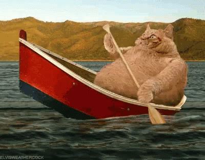 Boat GIFs | Tenor