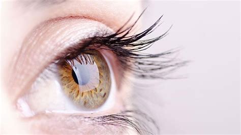 know about lacrimal Punctum, a part of our eyes | Lacrimal Punctum ...