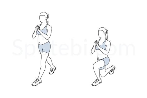 Split Squat | Illustrated Exercise Guide | Shoulder and arm workout, Workout guide, Hip flexors ...