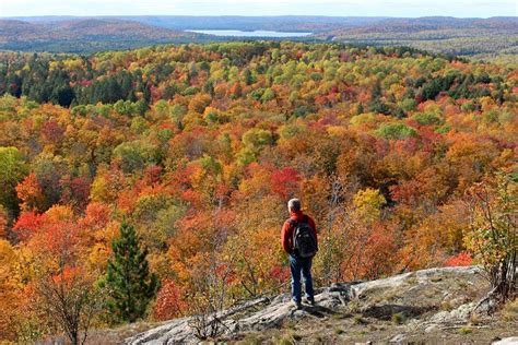 12 Best Hiking Trails in Algonquin Provincial Park | PlanetWare