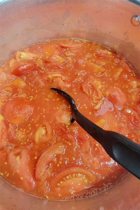 Canning Tomato Juice In a Water Bath · Hidden Springs Homestead